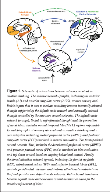 Figure showing schematic of interactions between networks involved in creative thinking